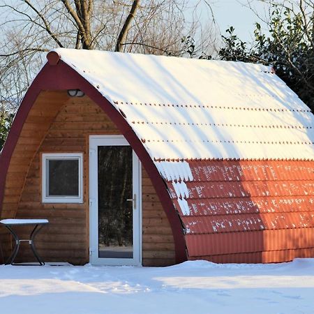 Luxe Eco Pod Op Camping De Stal Drijber Exteriör bild